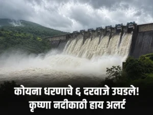 koyna dam 6 gate opened